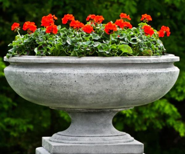 نباتات مزروعة اسمنتية للحدائق