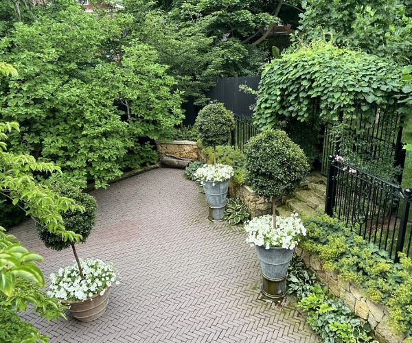 تنسيق حدائق منزلية