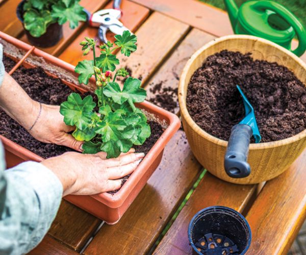 مستلزمات الحدائق المنزلية