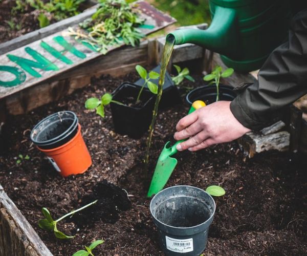 مستلزمات الحدائق المنزلية