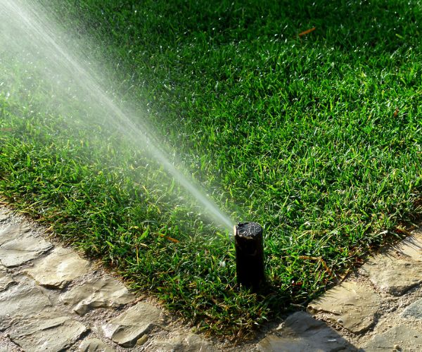 تصميم شبكات الرى للحدائق المنزلية