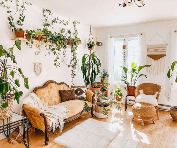 أفكار ديكورات حدائق خارجية وداخلية عصرية 