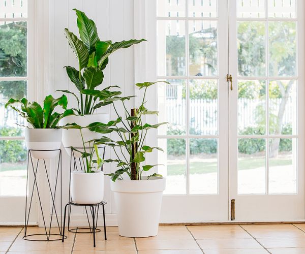 أفكار ديكورات حدائق خارجية وداخلية عصرية 