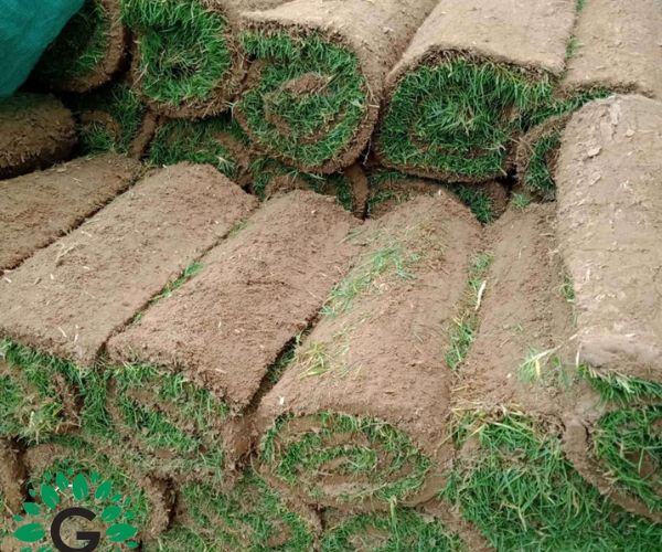 الفرق بين العشب الطبيعي والصناعي