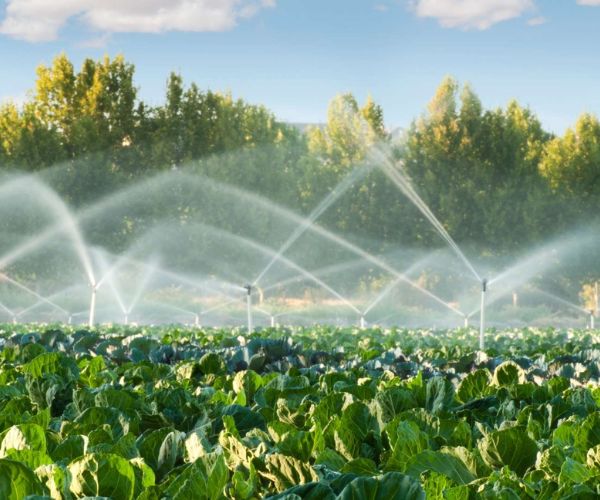 أنواع شبكات الري الحديثة