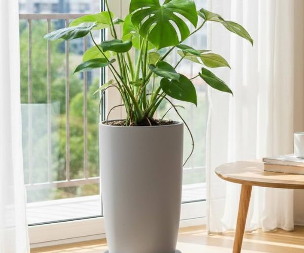 احواض الزرع بأفضل تصاميم حديثة