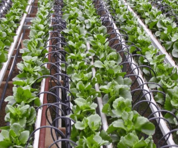 انظمة الري الذكي فاتورة المياه