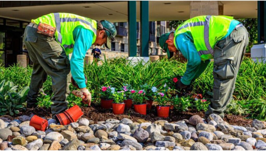 شركة تنسيق حدائق