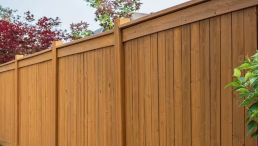 أشكال سواتر للحوش