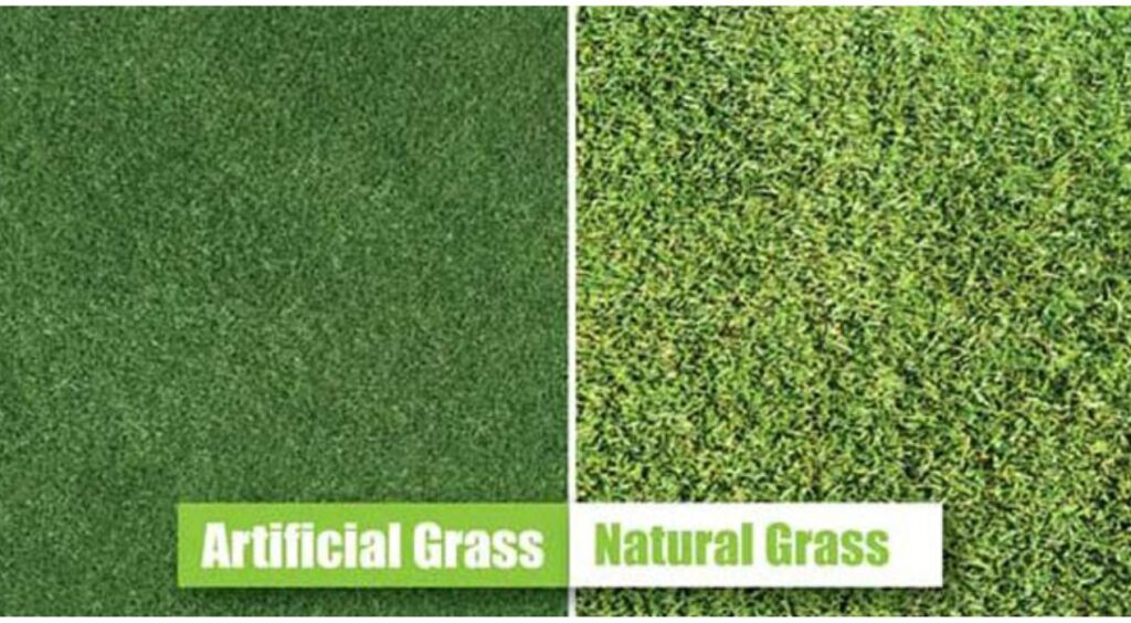 الفرق بين العشب الطبيعي والصناعي