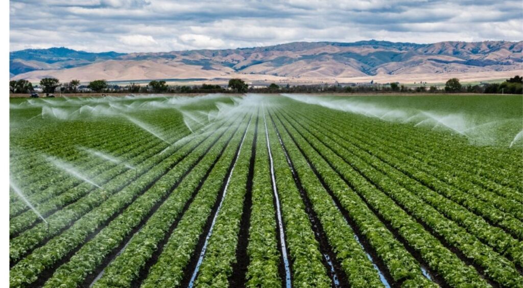 أنواع شبكات الري الحديثة